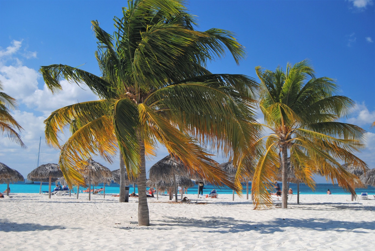 Cuba Cayo Largo playa paraiso.4 1538