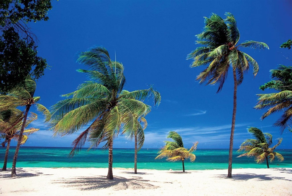 Cuba playa de guardalavaca beach cuba