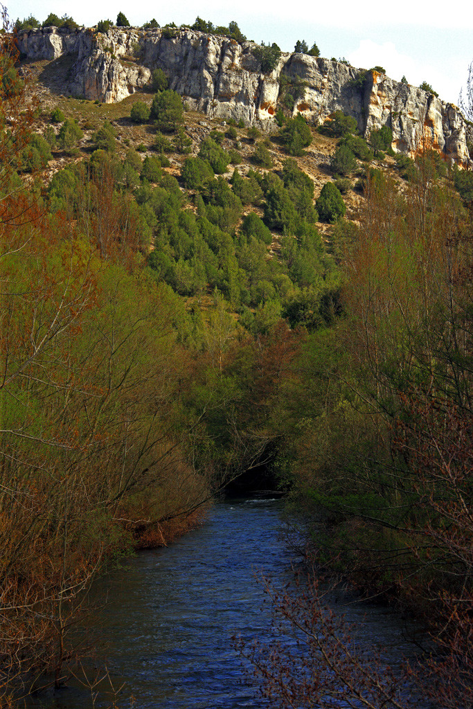 14 Sabinares de Arlanza. Rio Arlanza