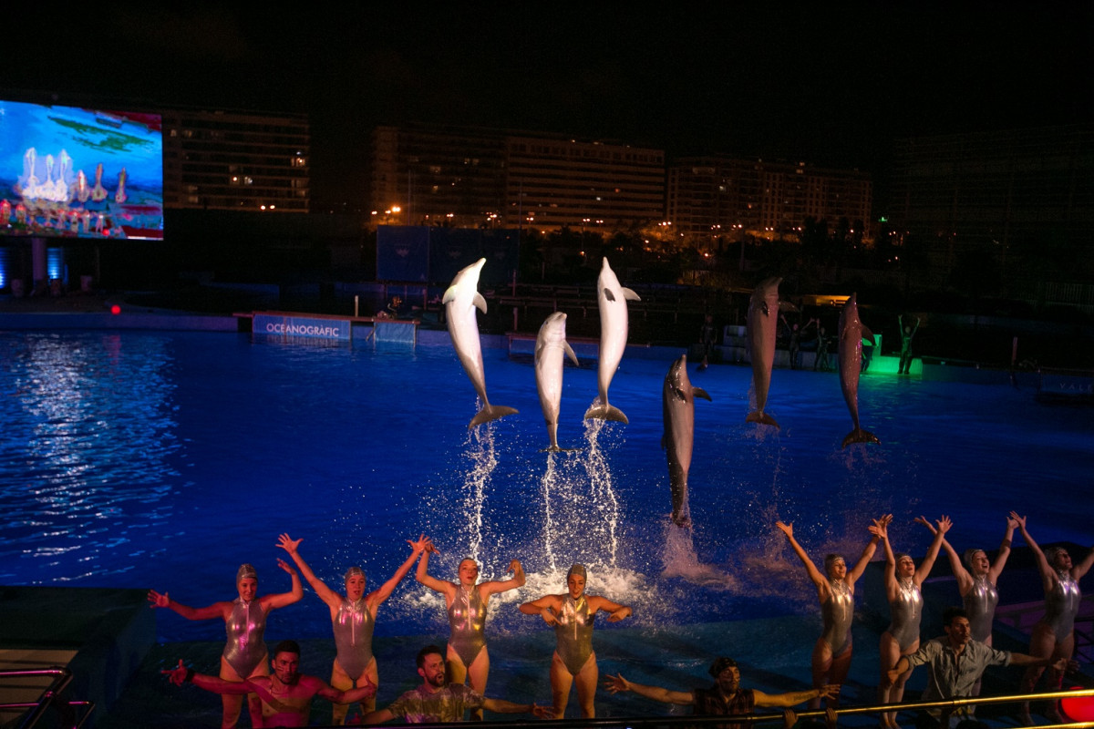 Valencia #NOCHES OCEANOGRAFICO