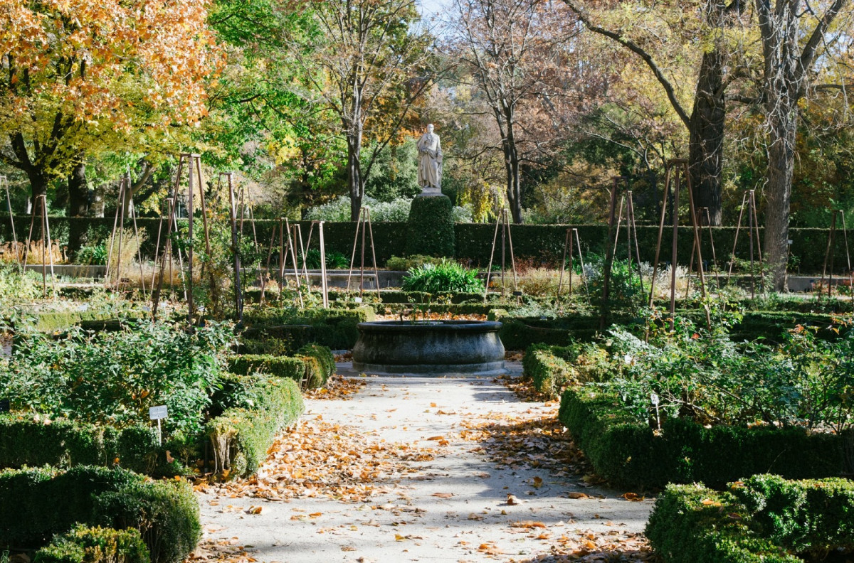 Madrid jardin botanico madrid 1600