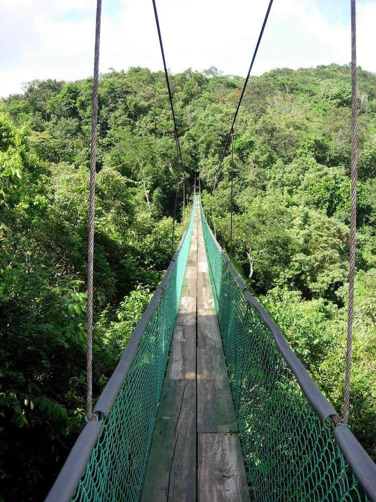 Costa Rica , Puente colgante la fortuna