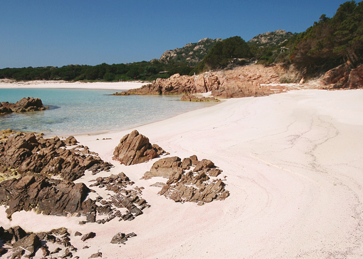 Cerdeu00f1a Playa de la Magdalena