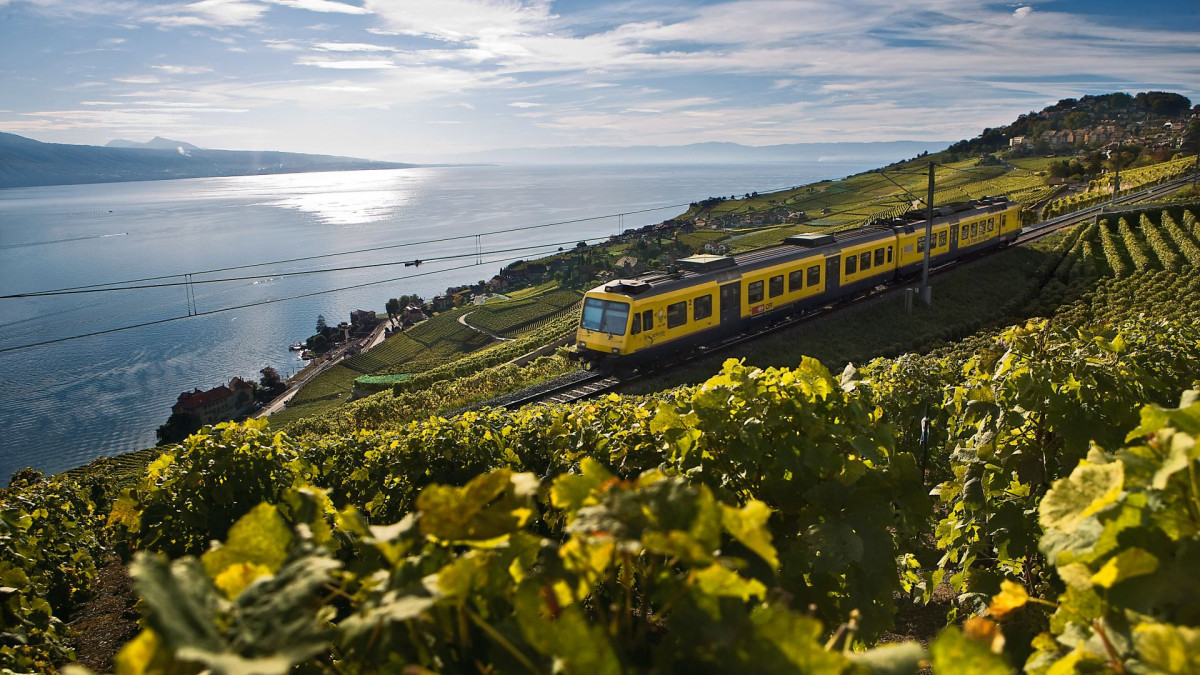 The Vineyard Train – Vevey Puidoux Chexbres