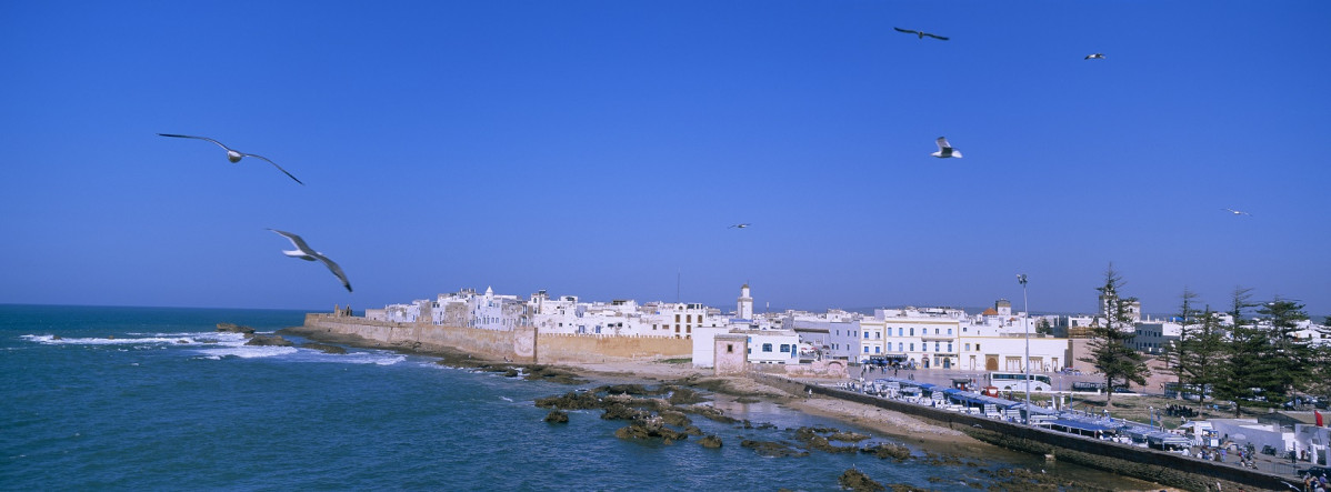 219 Port d'Essaouira xr