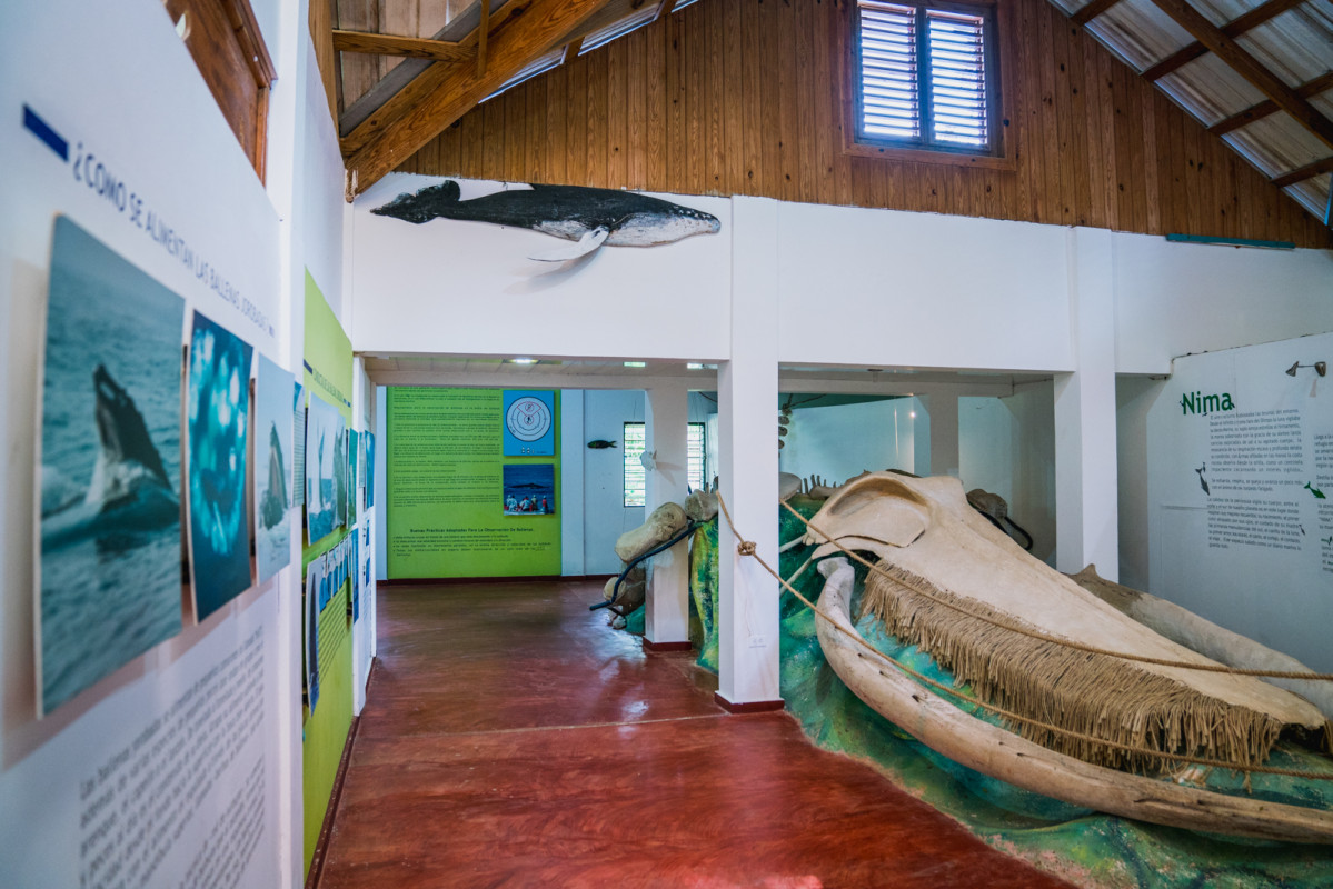 Península de Samaná Museo de la Ballenas