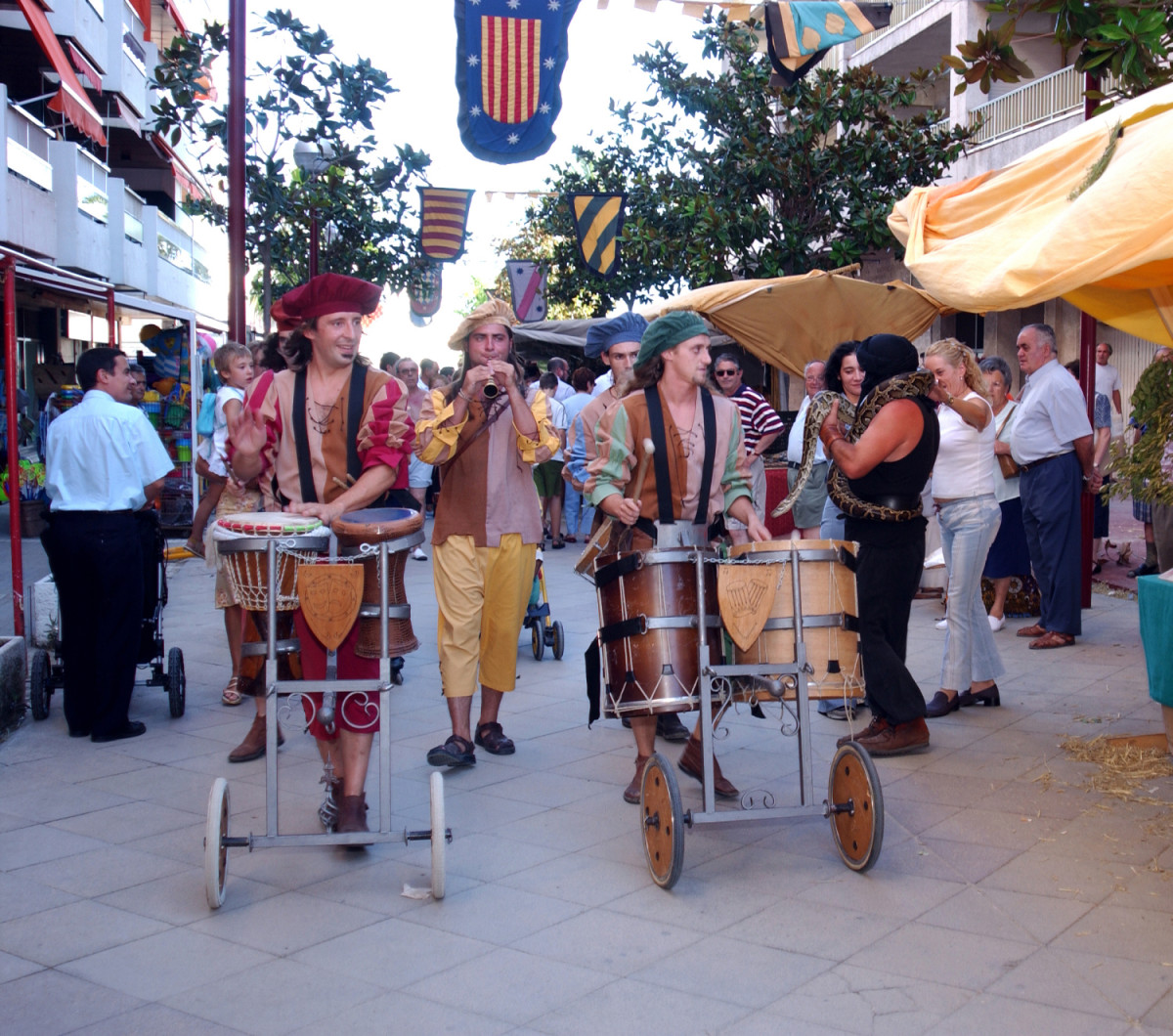 FestesDelReiJaume Visitsalou