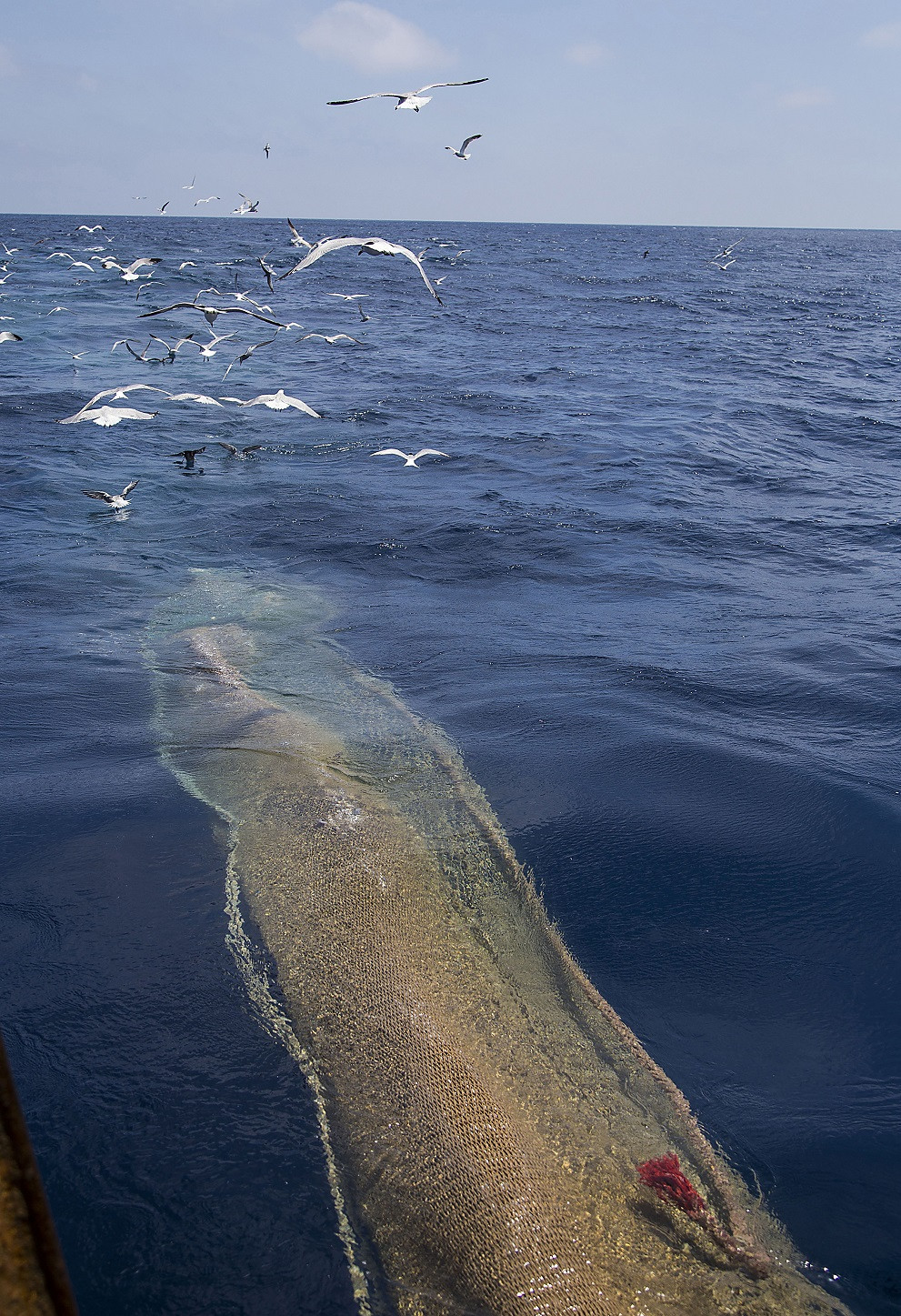 CASTELLu00d3N (junio 2019) Pescaturismo 1