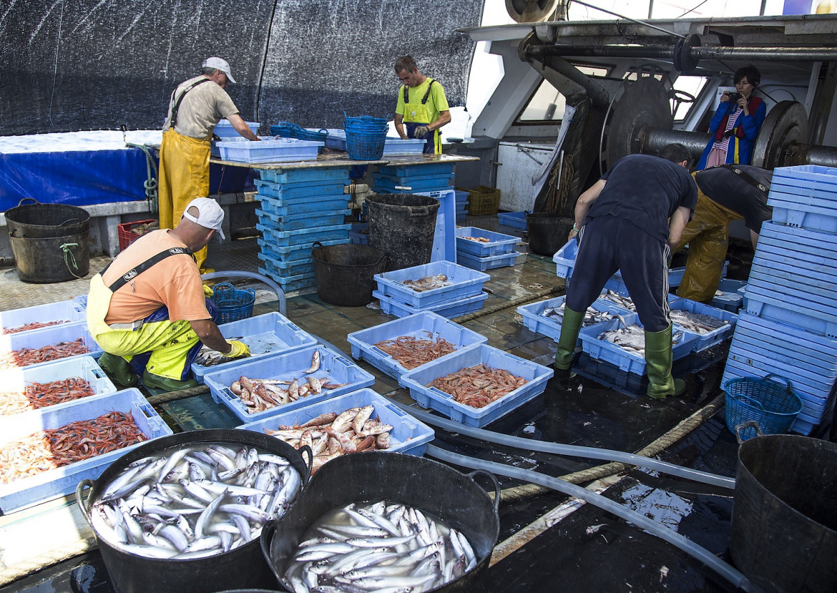 CASTELLu00d3N (junio 2019) Pescaturismo Clasifica