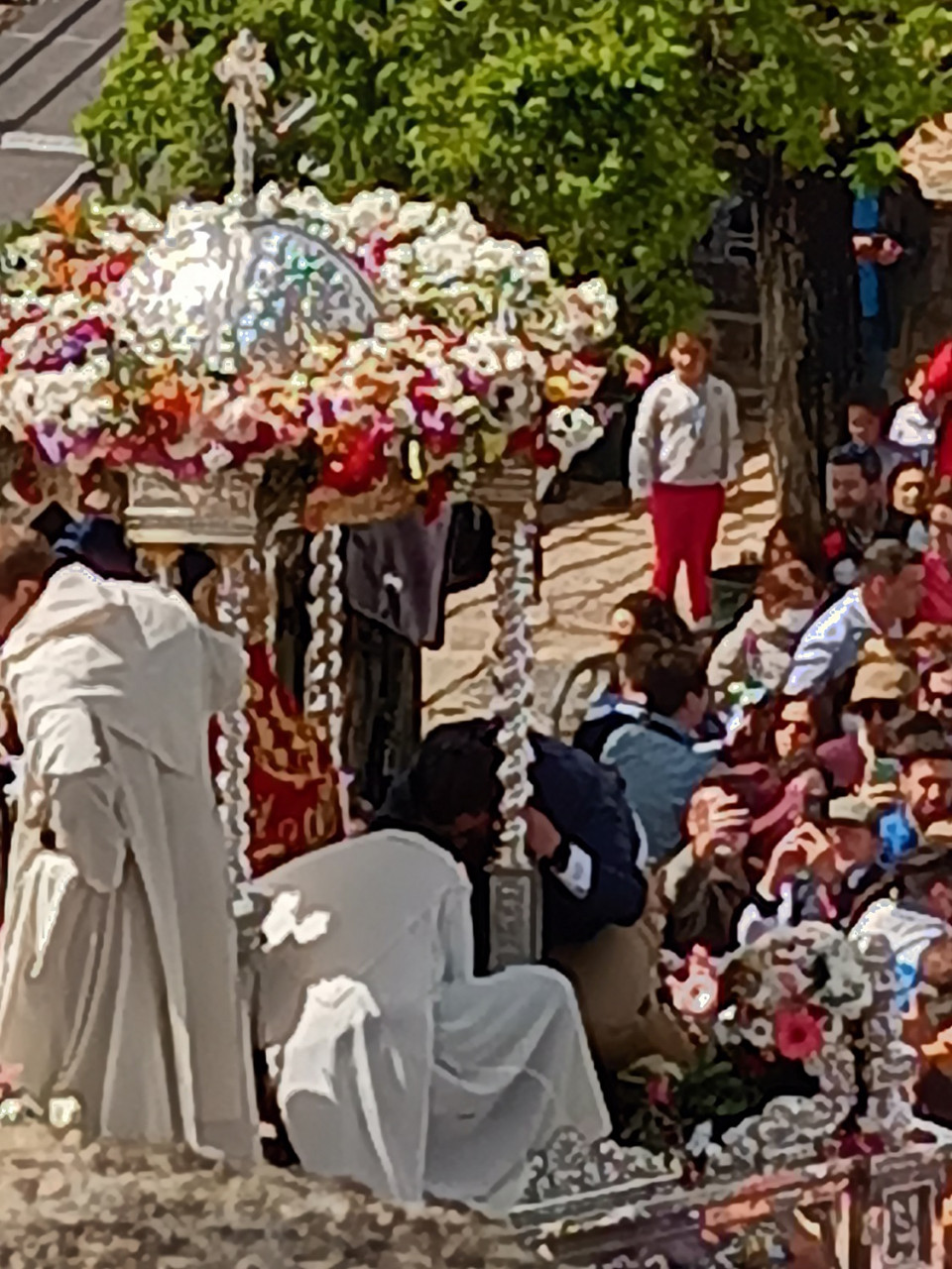 Romeria Virgen de la Cabeza (Andujar)