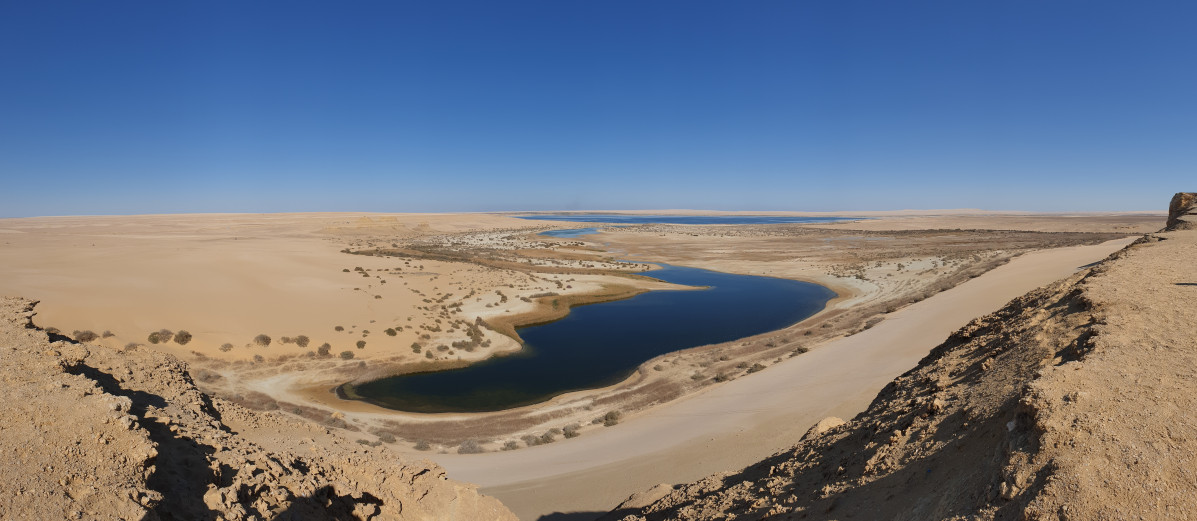 Wadi Al Hitan, o Valle de las Ballenas, 280220
