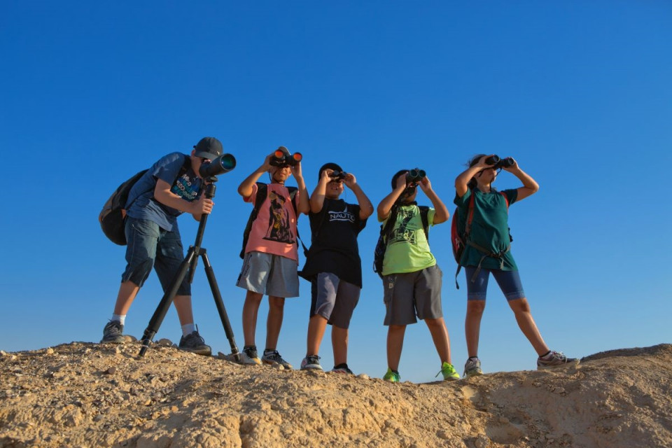 Eilat Birdwatching (3)