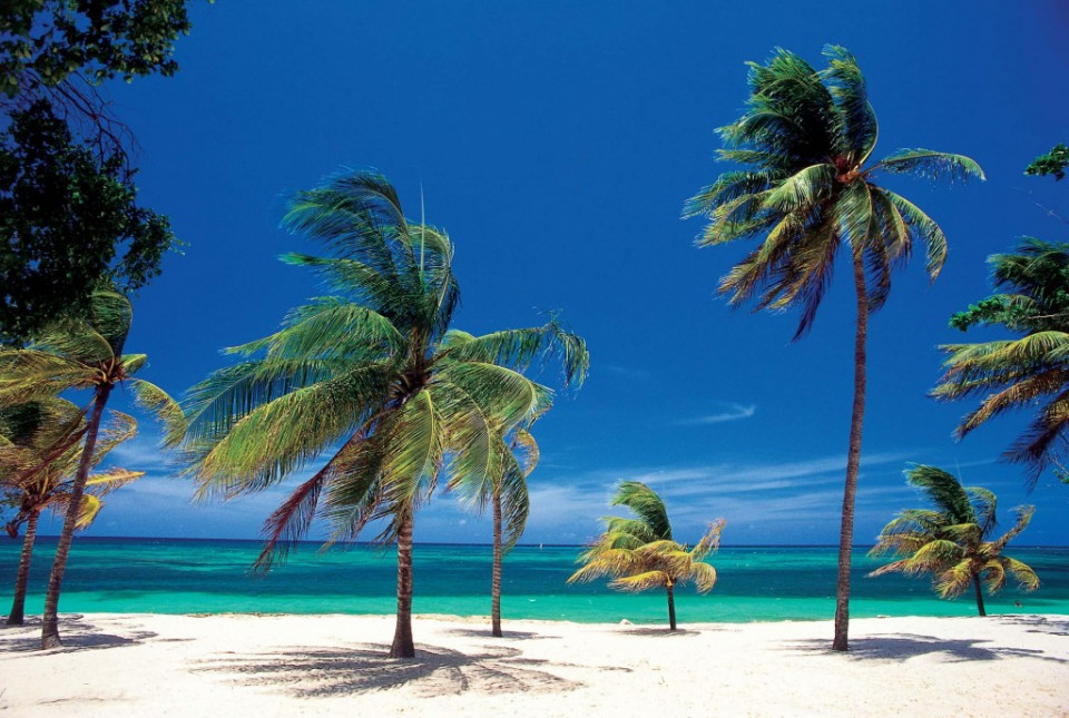 Cuba guardalavaca beach cuba