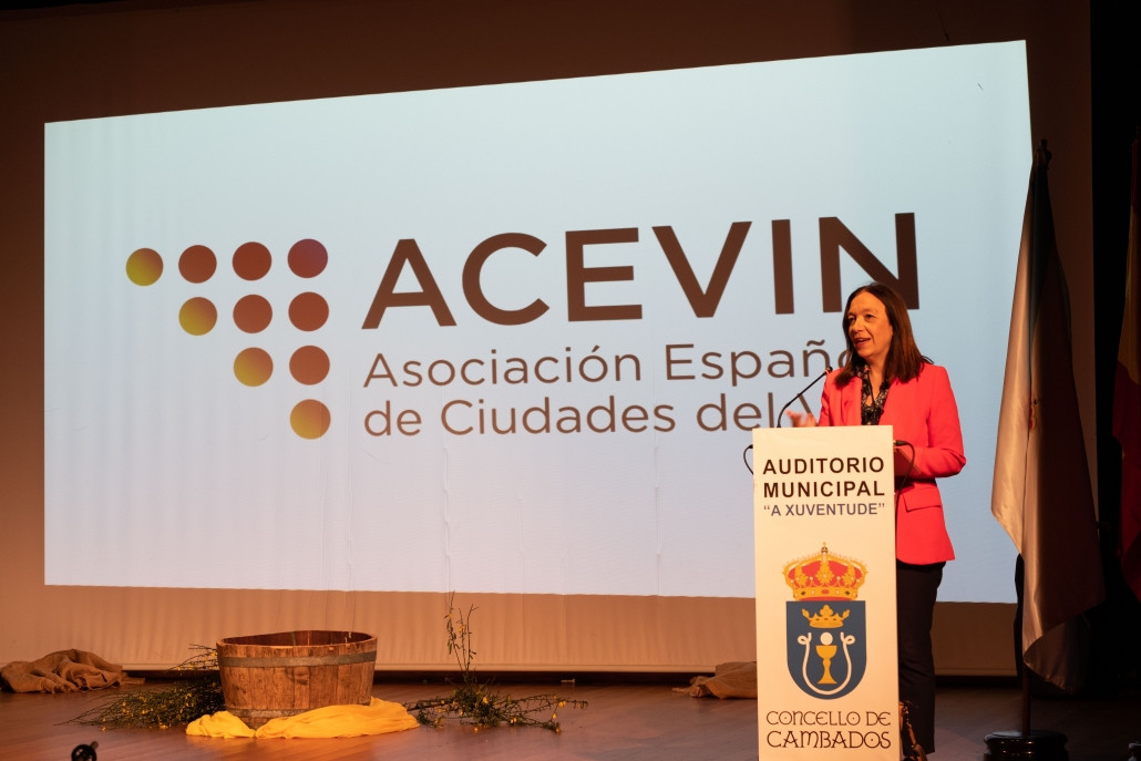 Rosa Melchor presidenta de ACEVIN en la gala de apertura de la Ciudad Espanola del Vino Cambados 2024  1030x687