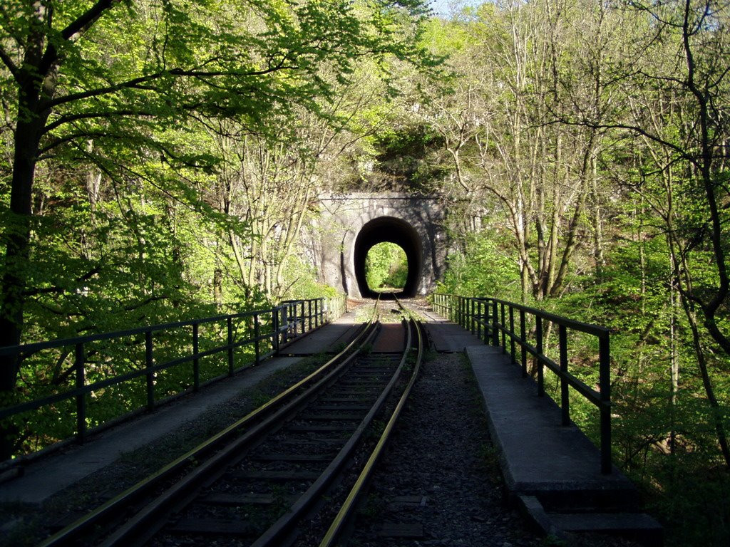 3599291