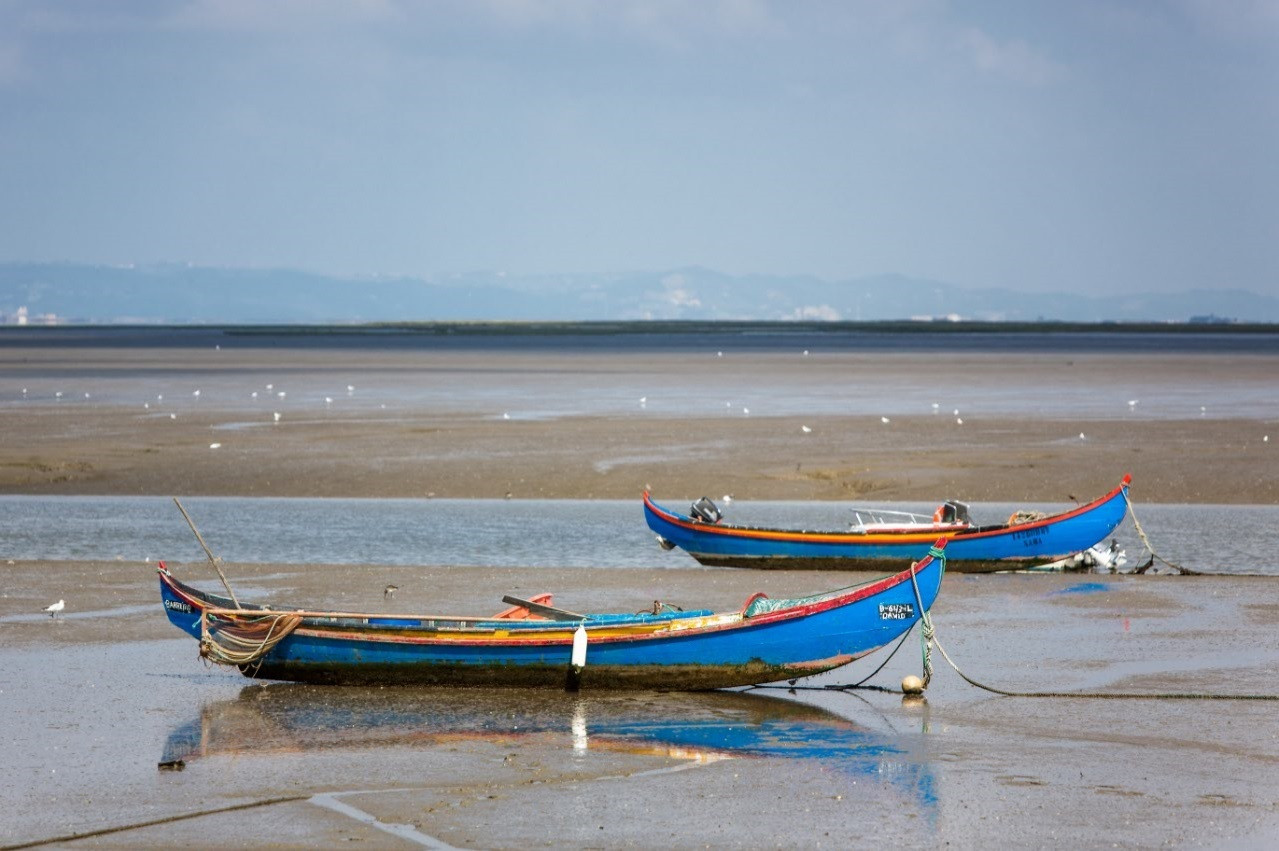 Alcochete EstuariodelTajo