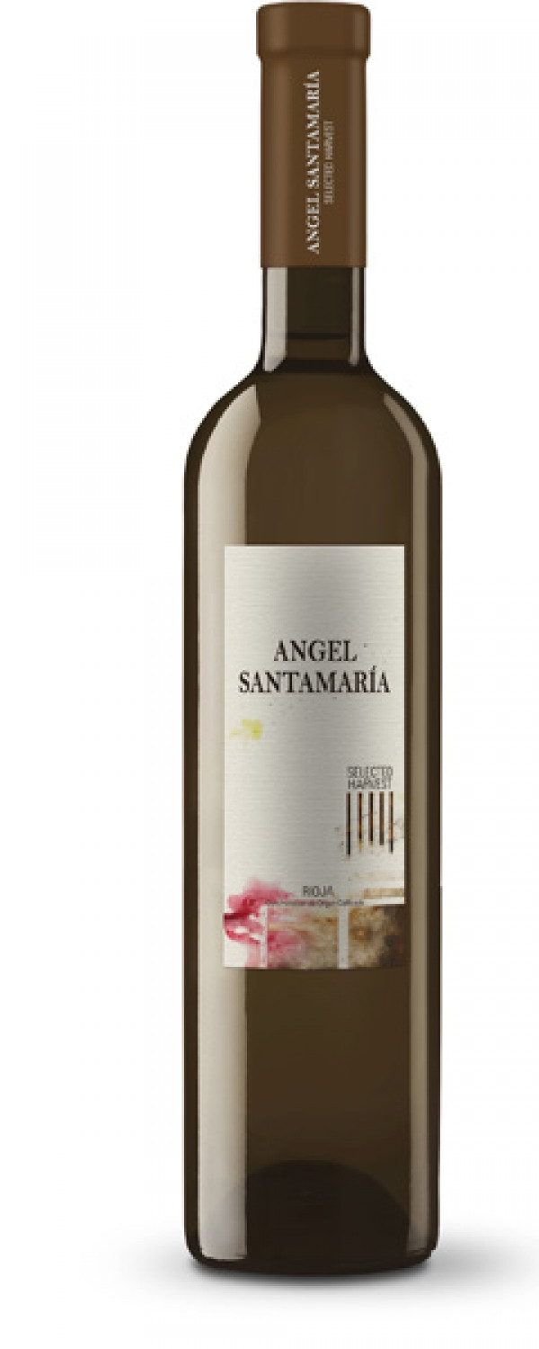 AngelSantamaria BlancoCrianza