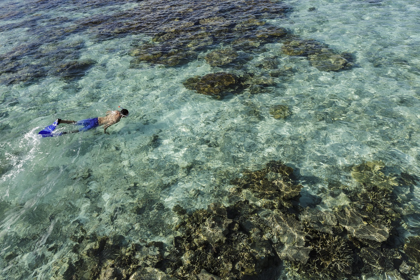 Angsana Velavaru 1Activities