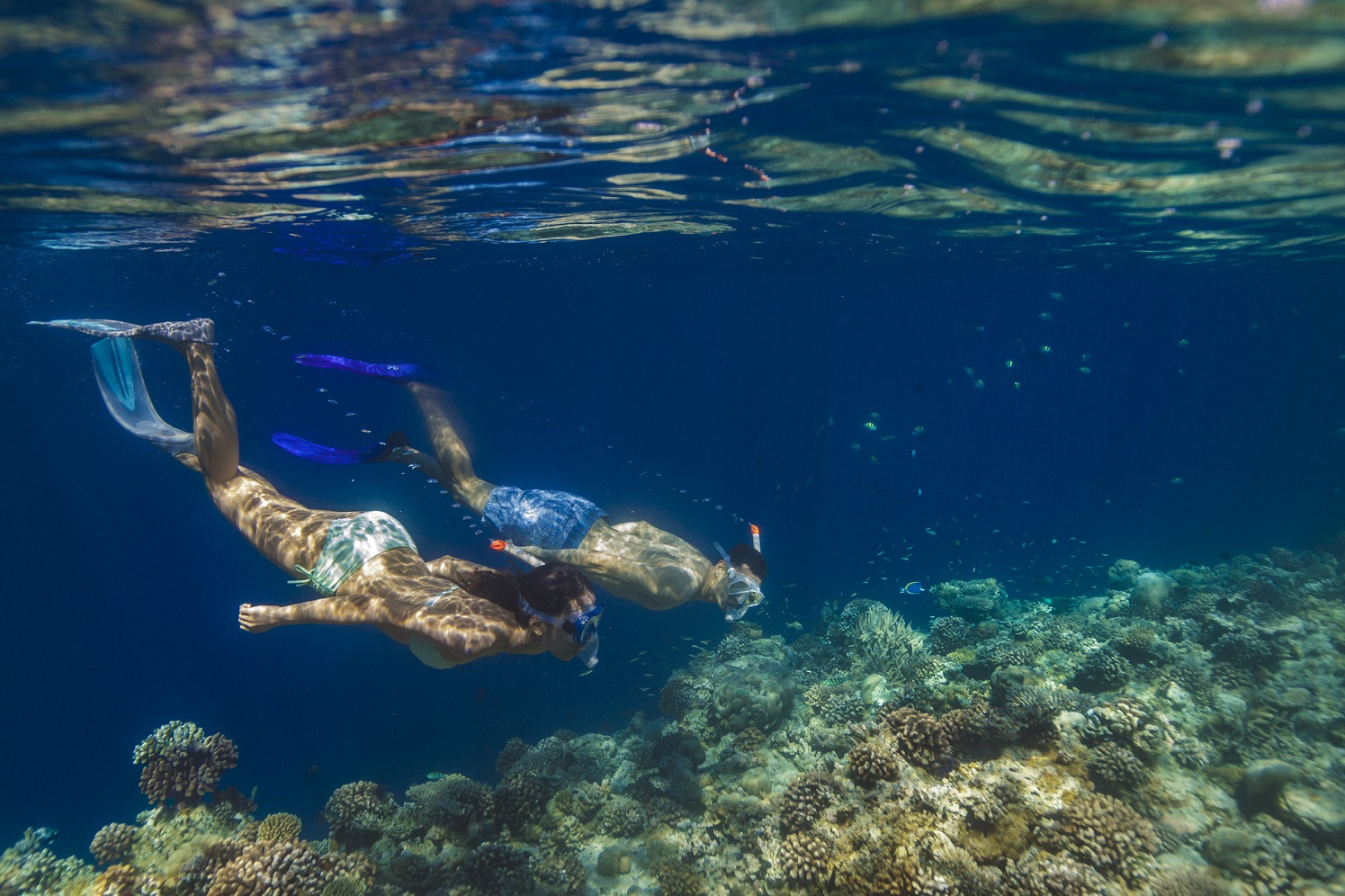 Angsana Velavaru ActivitiesBuceo