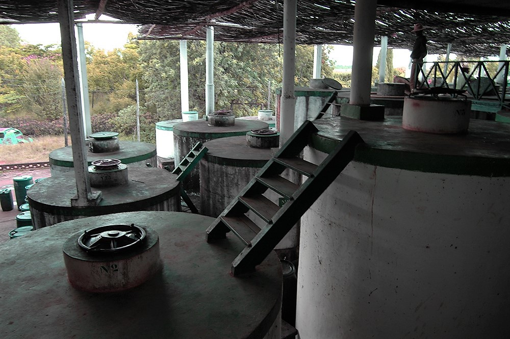 BodegasenMadagascar