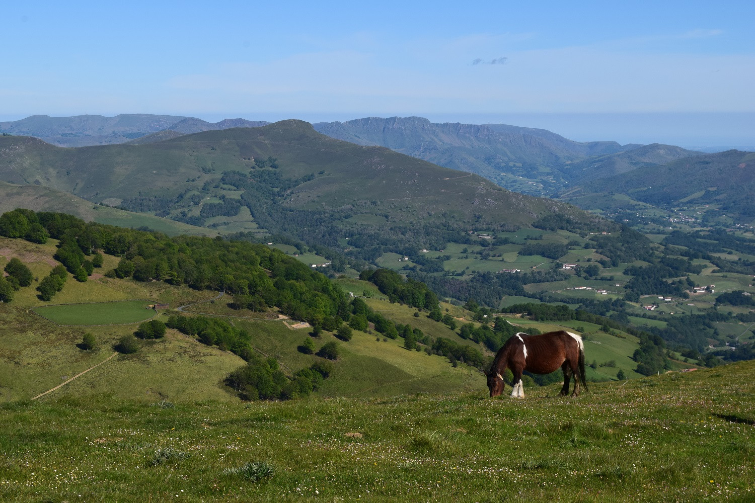 CaminoSantiago1