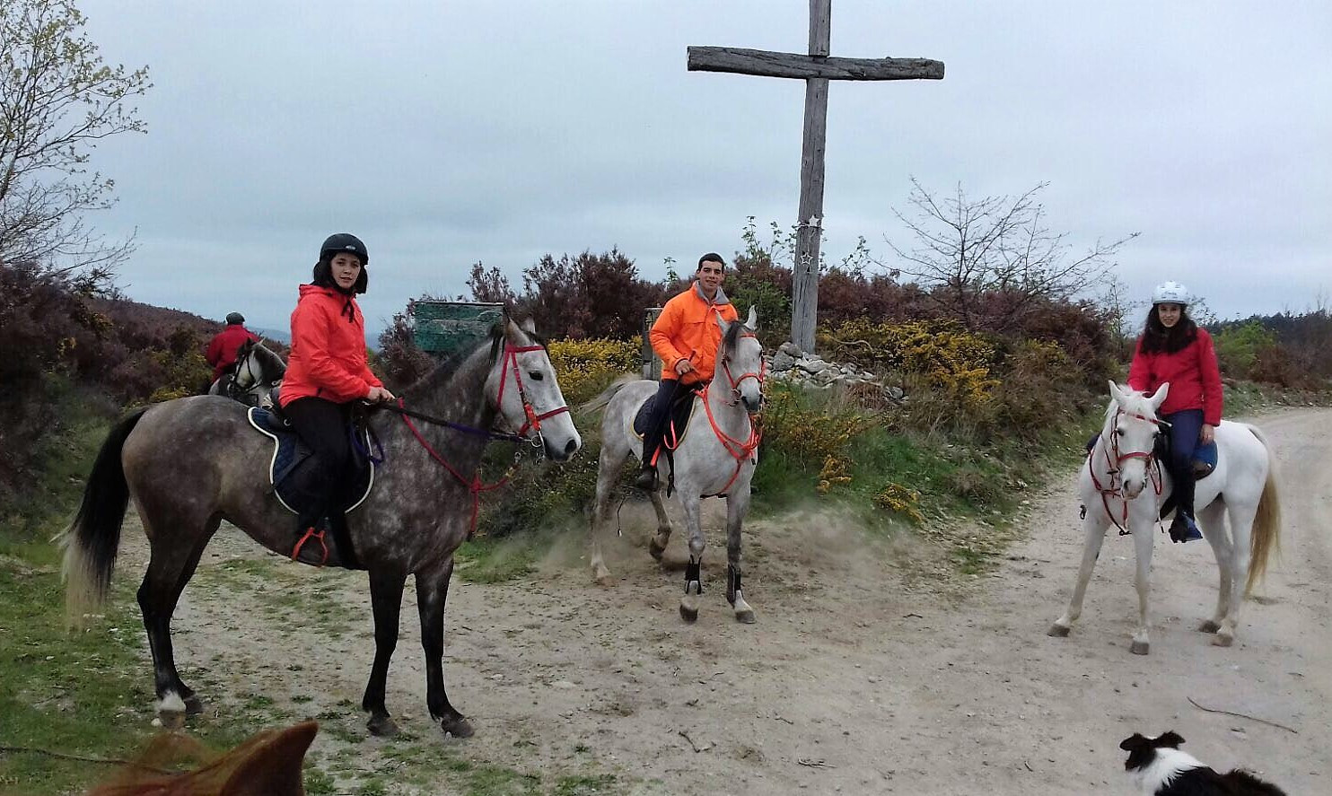 CaminodeSantiagoSeixas