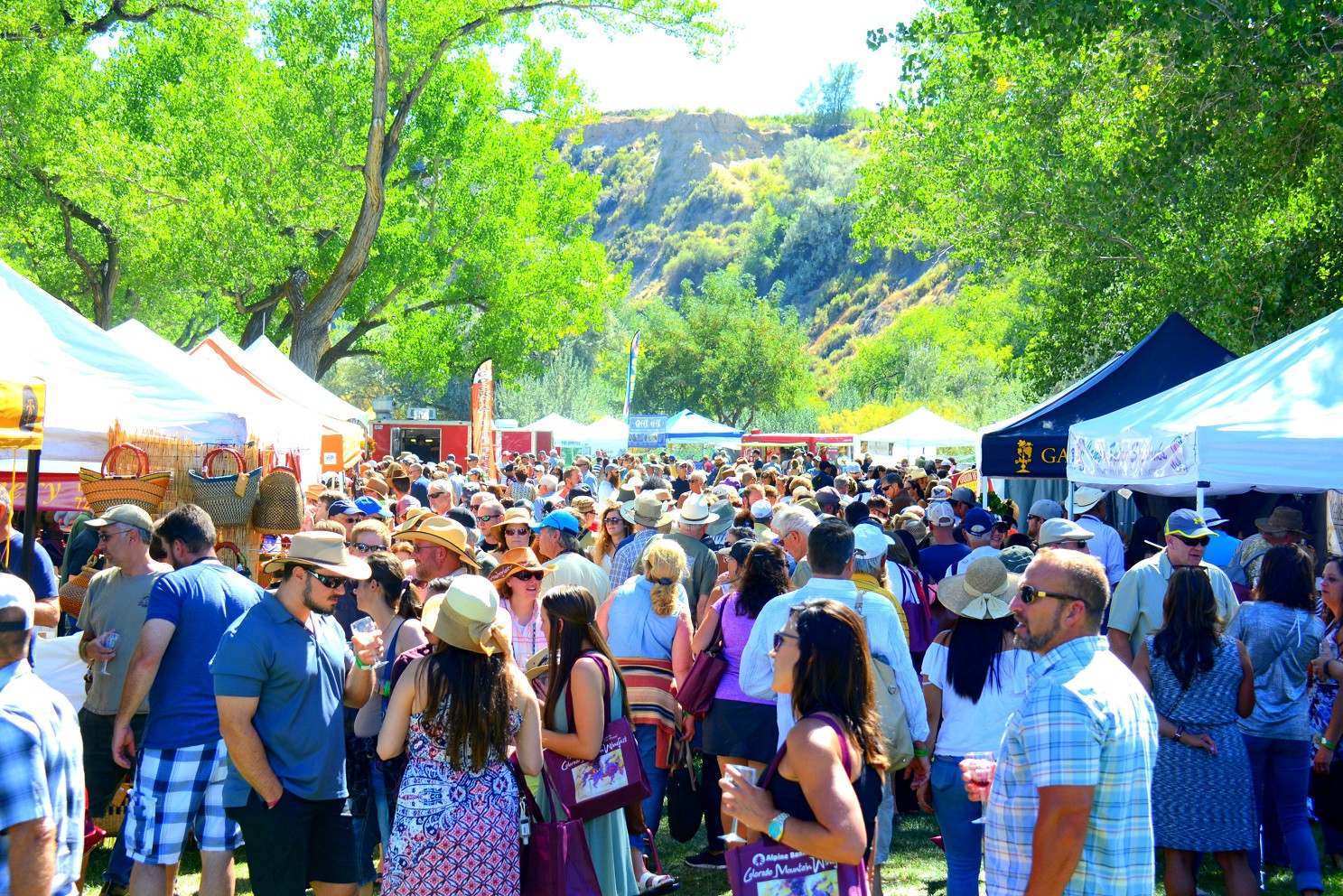 ColoradoMountainWinefest1487