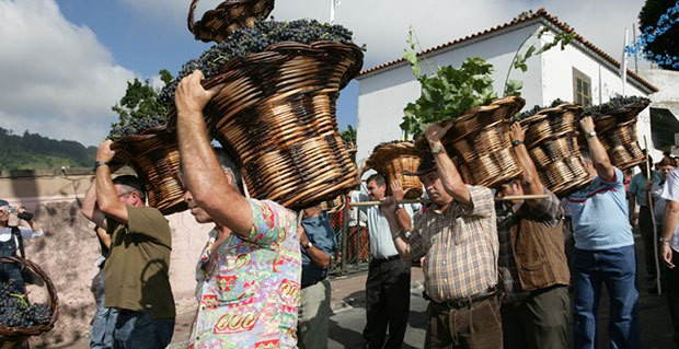 FiestadelVinodeMadeira