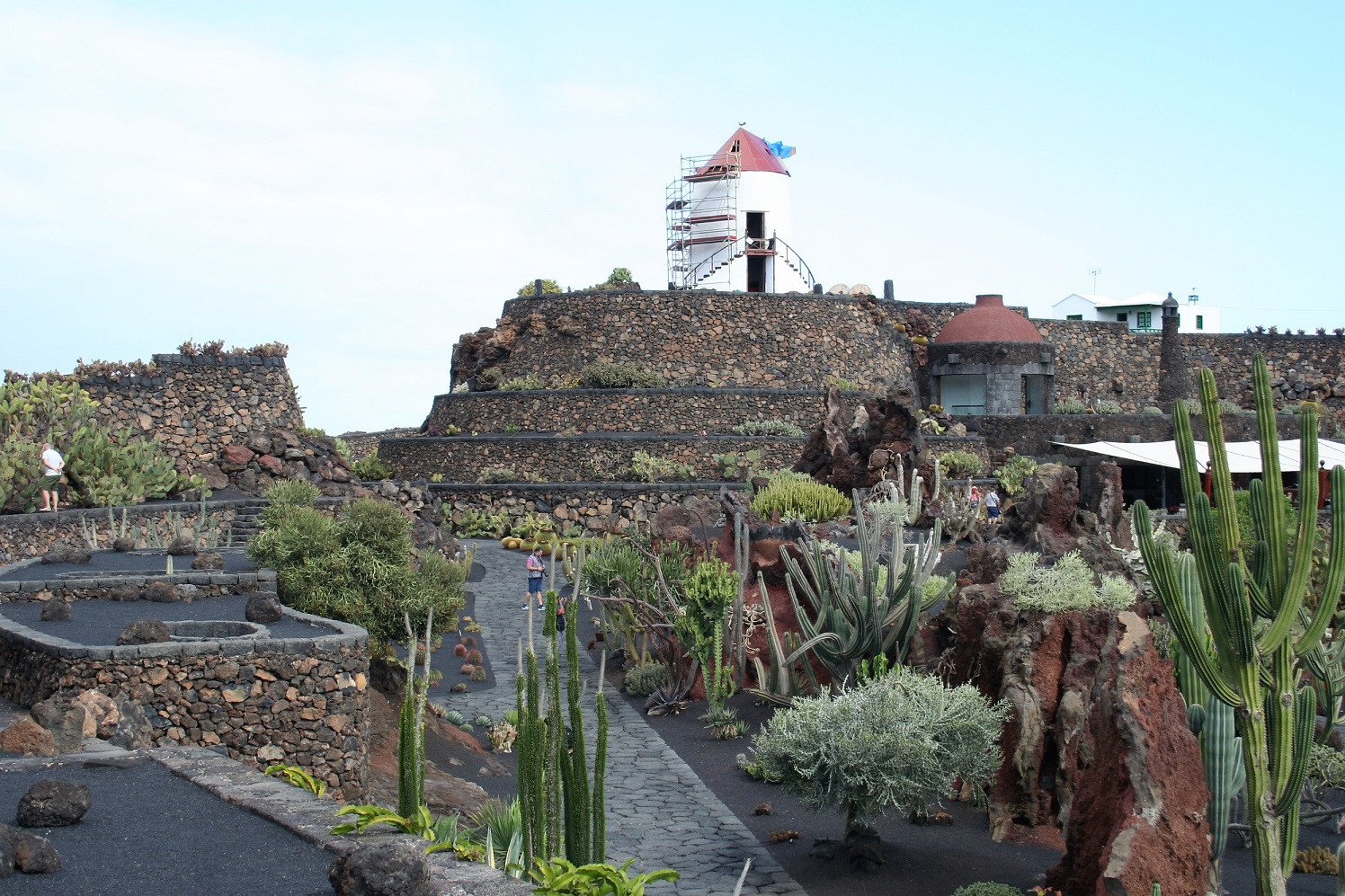 LANZAROTEjardindelcactusIMG 2083.mia1496