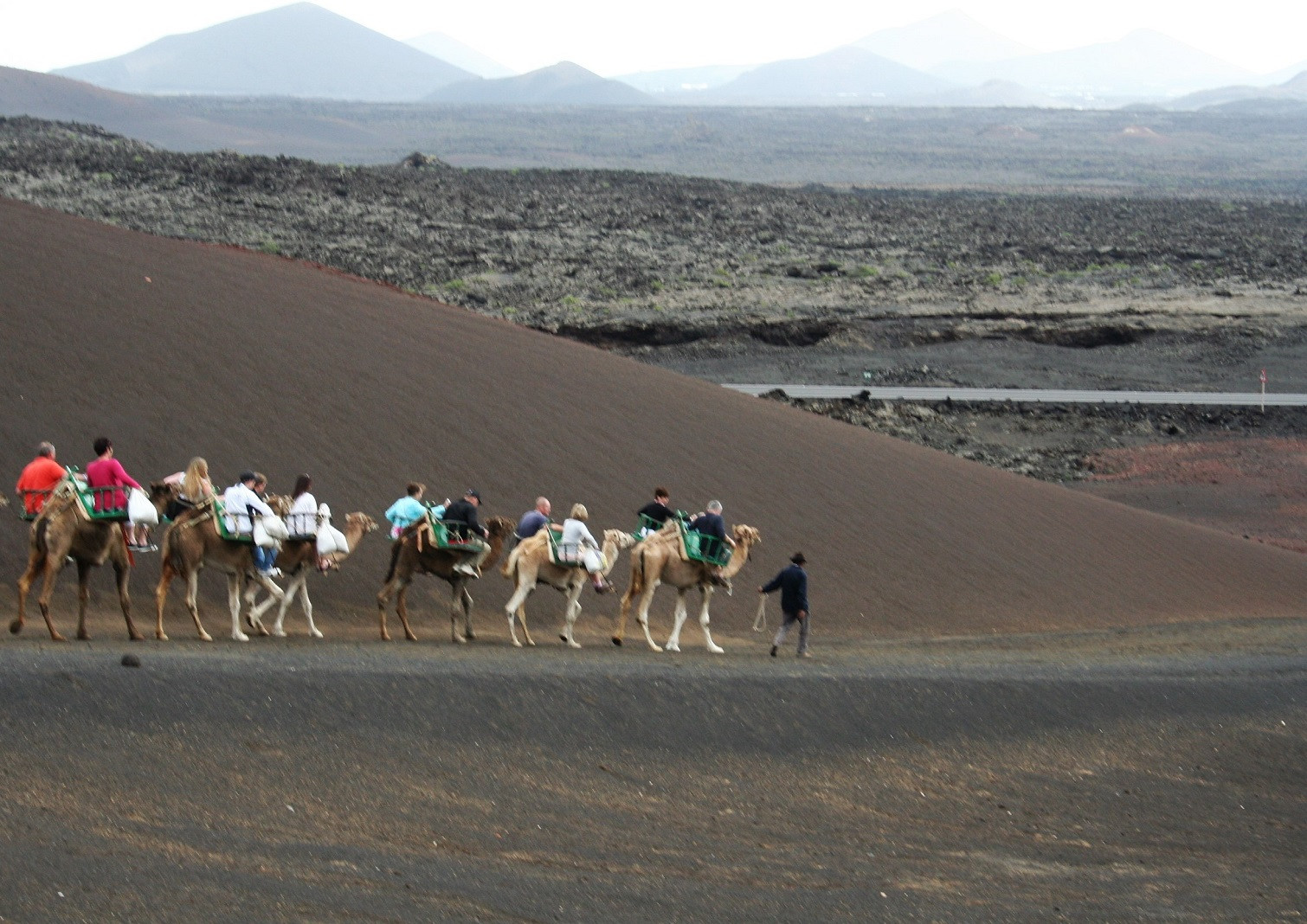 LanzarotePaseoenCamelloIMG 2279.mia1510