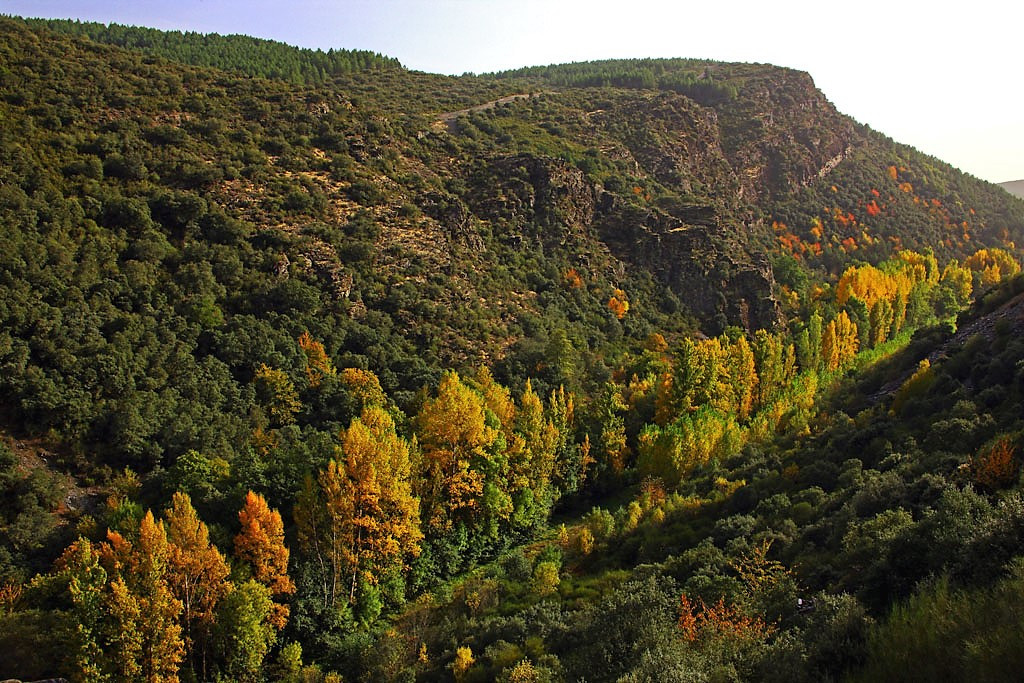 PaisajesdelmunicipiodeVillafrancadelBierzo06