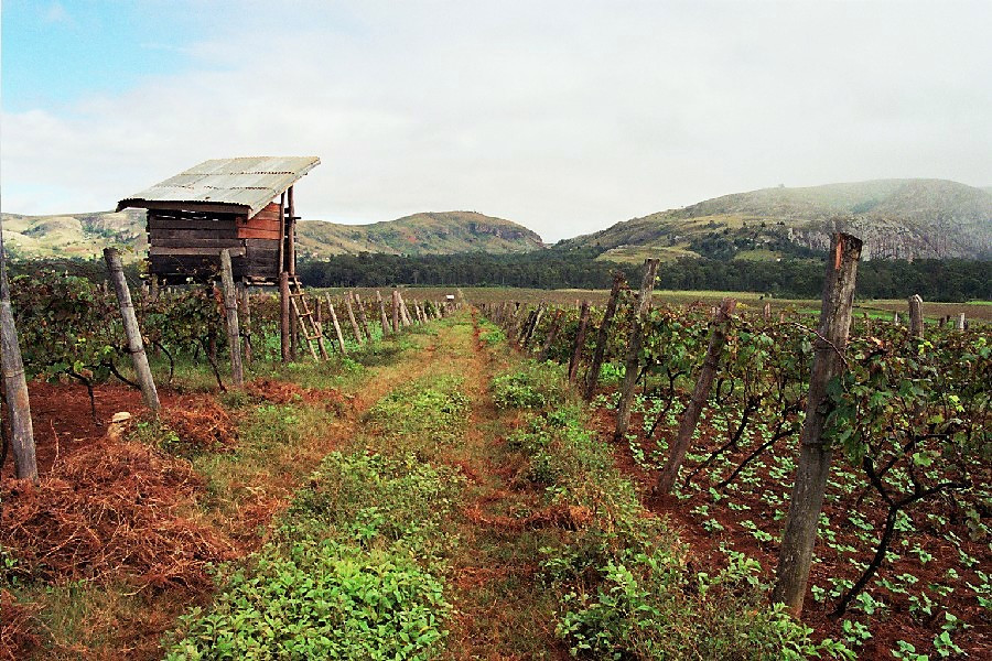 Paisajevincolamalgache