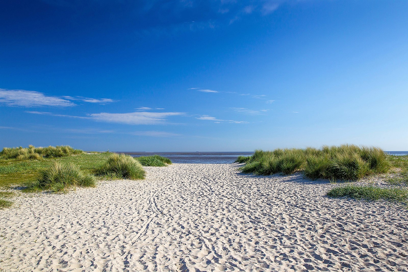 PlayadeWangerland