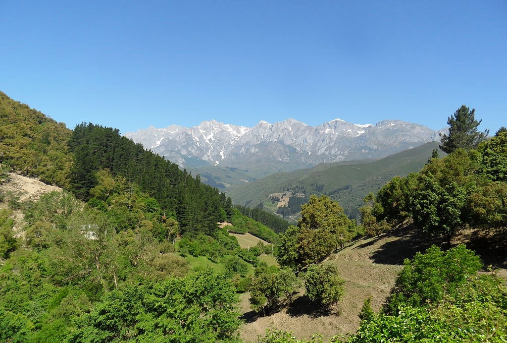 PotesVistadelosPicosdeeuropadesdeLaErmitadeValmayor