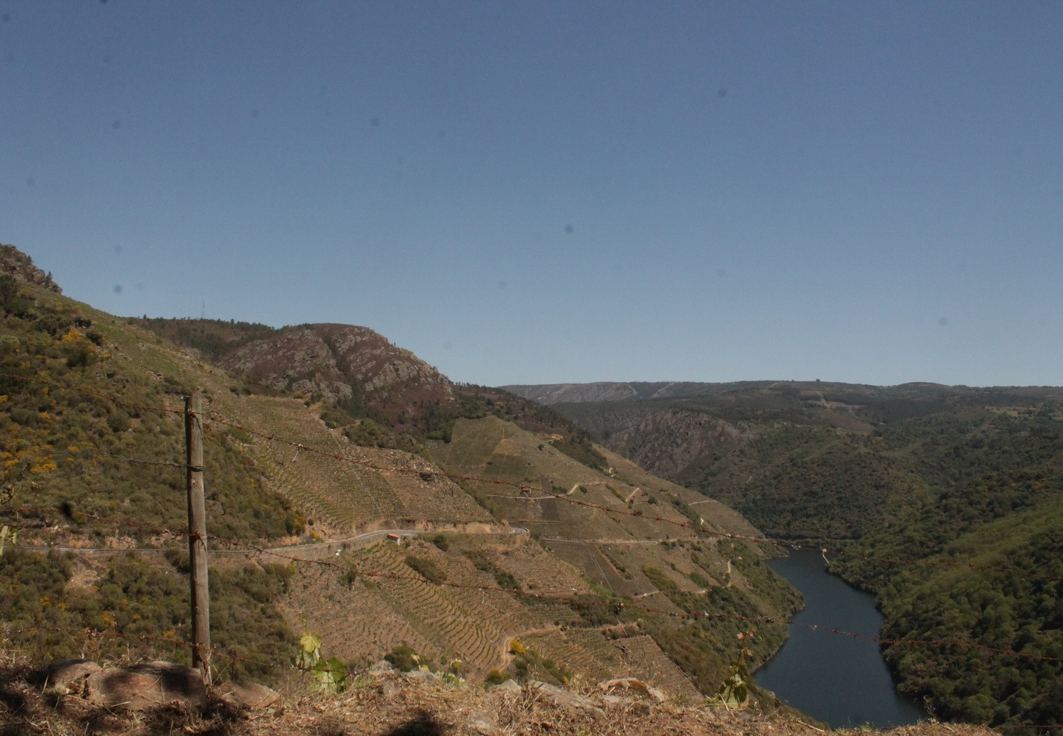 RibeiraSacrapaisaxe2.Alex
