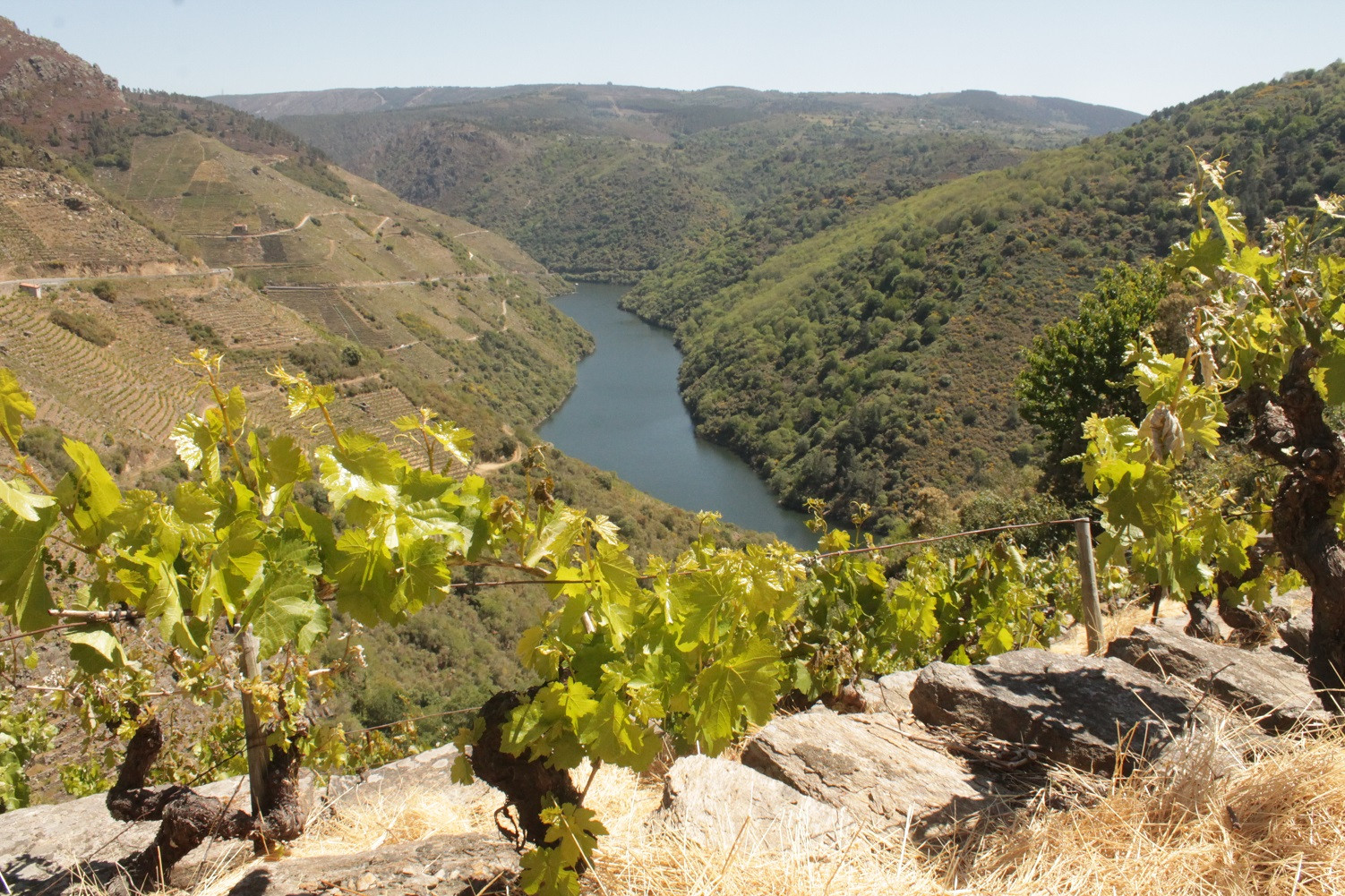 RibeiraSacrapaisaxe7.AlexEstevez1502
