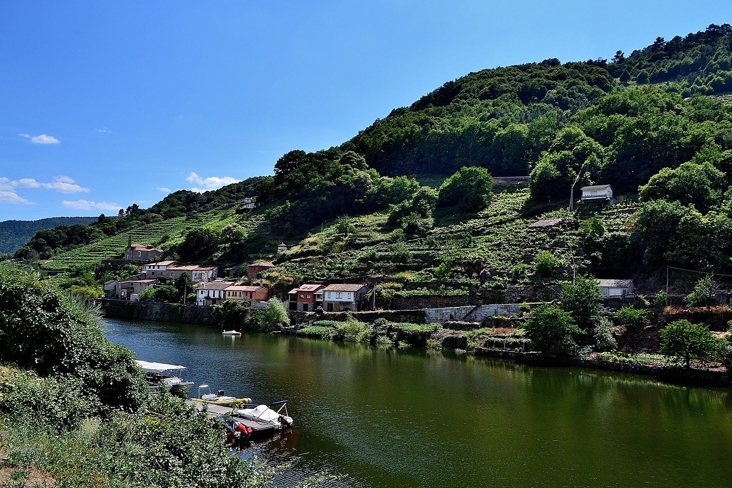 RibeirasacraPinceloenelMio.1500 1