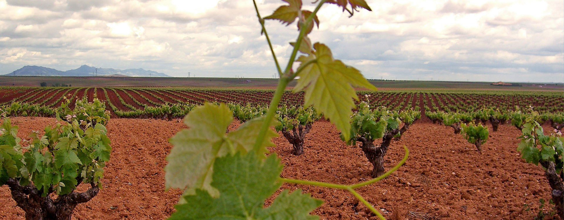 Riberadelguadianaslide3