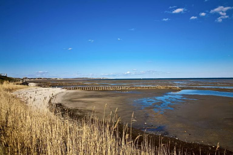 Schleswig Holsteinisches Wattenmeer imago