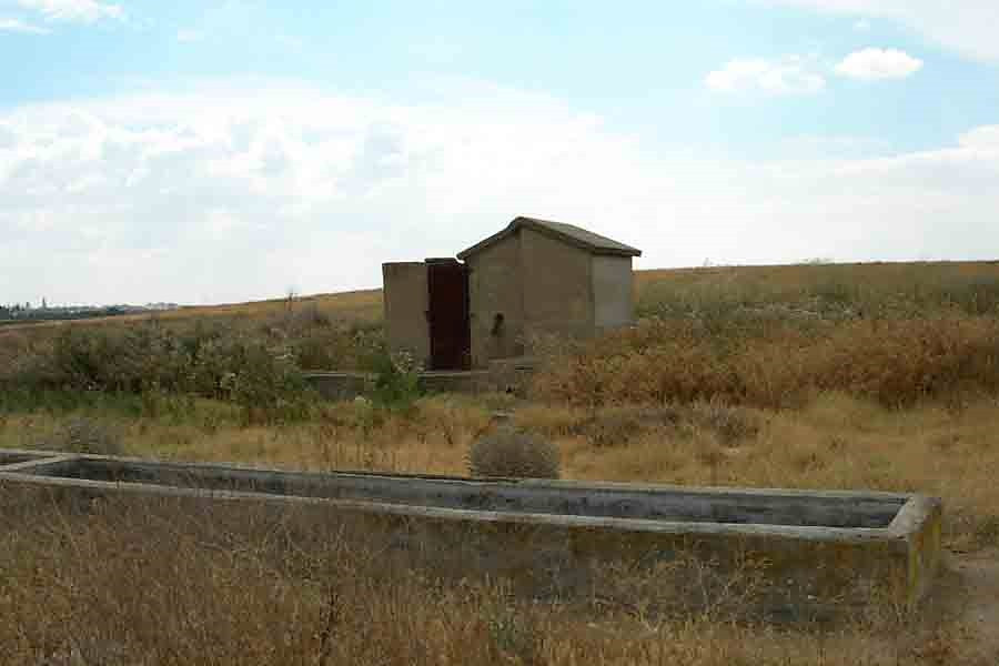 Toropozo t rodrigo
