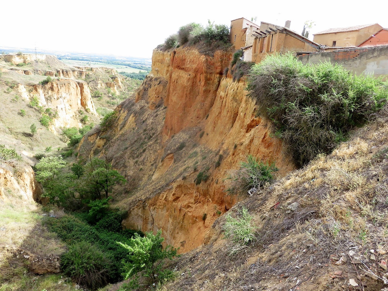 ToropuertodelaMagdalenna