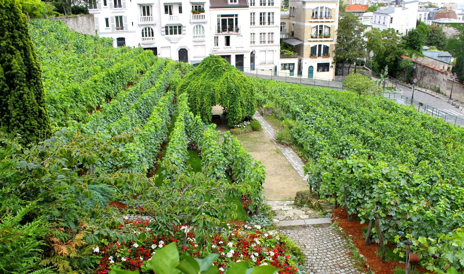 ViedosMontmartre1500