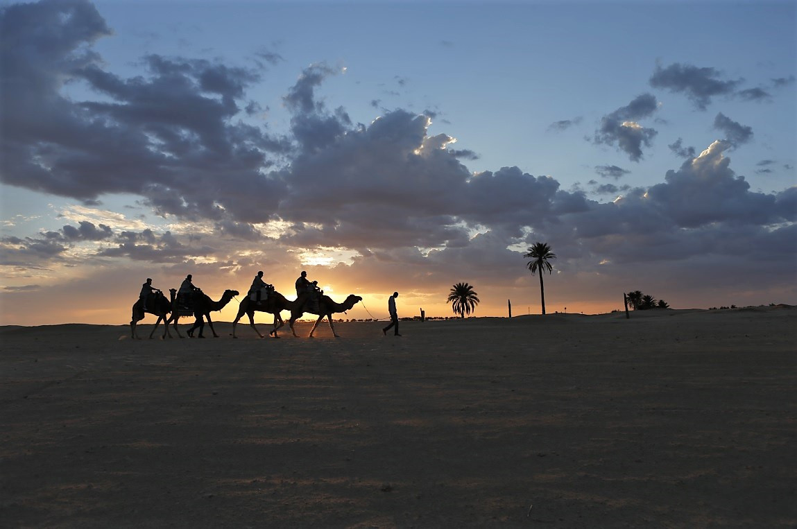 Dromedarios Sahara Tunez