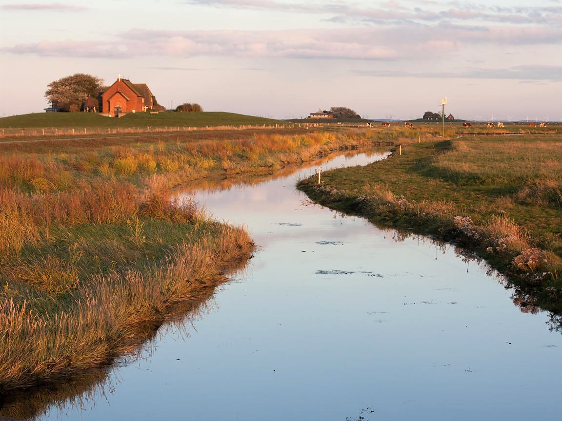 Hallig hoogecenalemaniapaaraisoornitologico