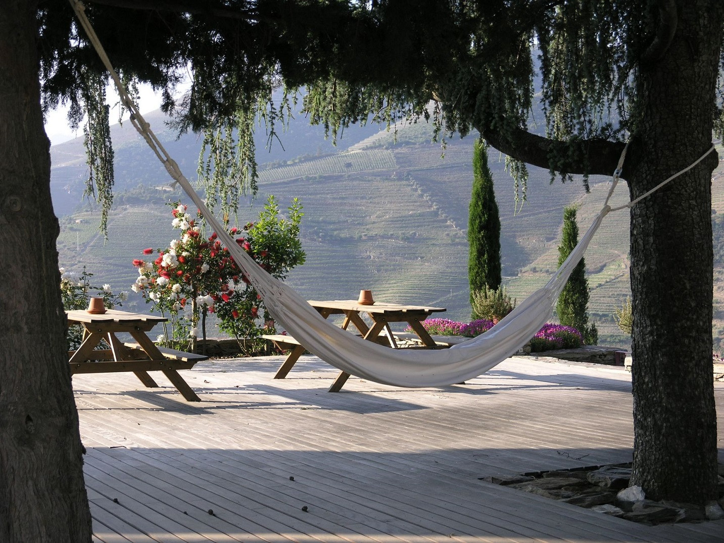 Quintanova terraza