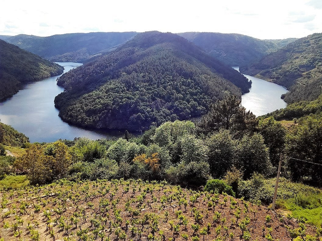 RibeiraSacraOCabodoMundo 3