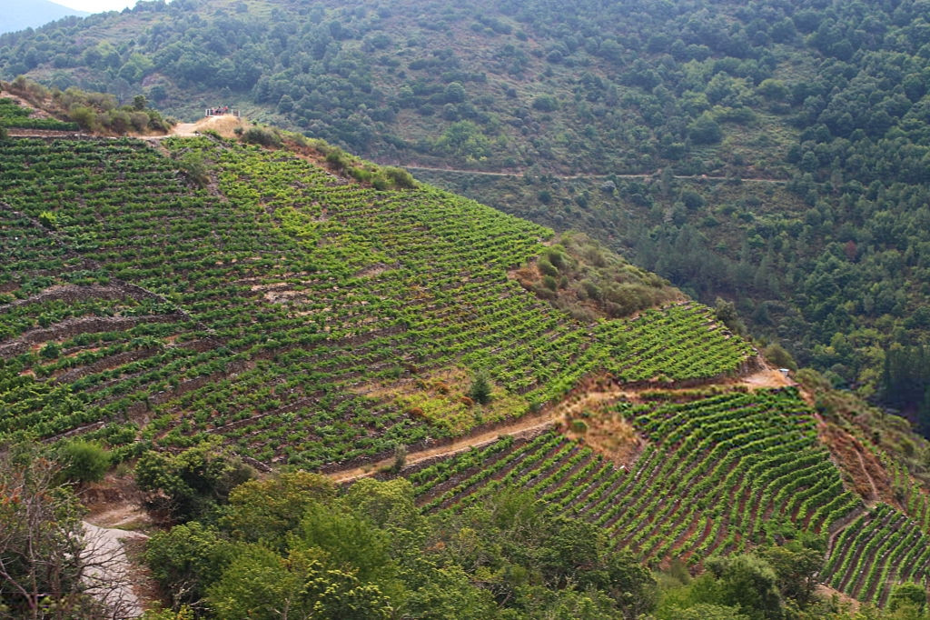 Ribeira sacra