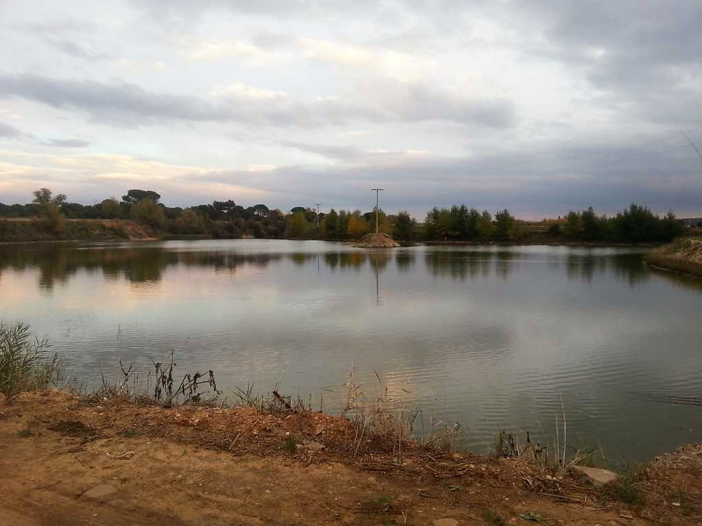 ToroVistadelalaguna