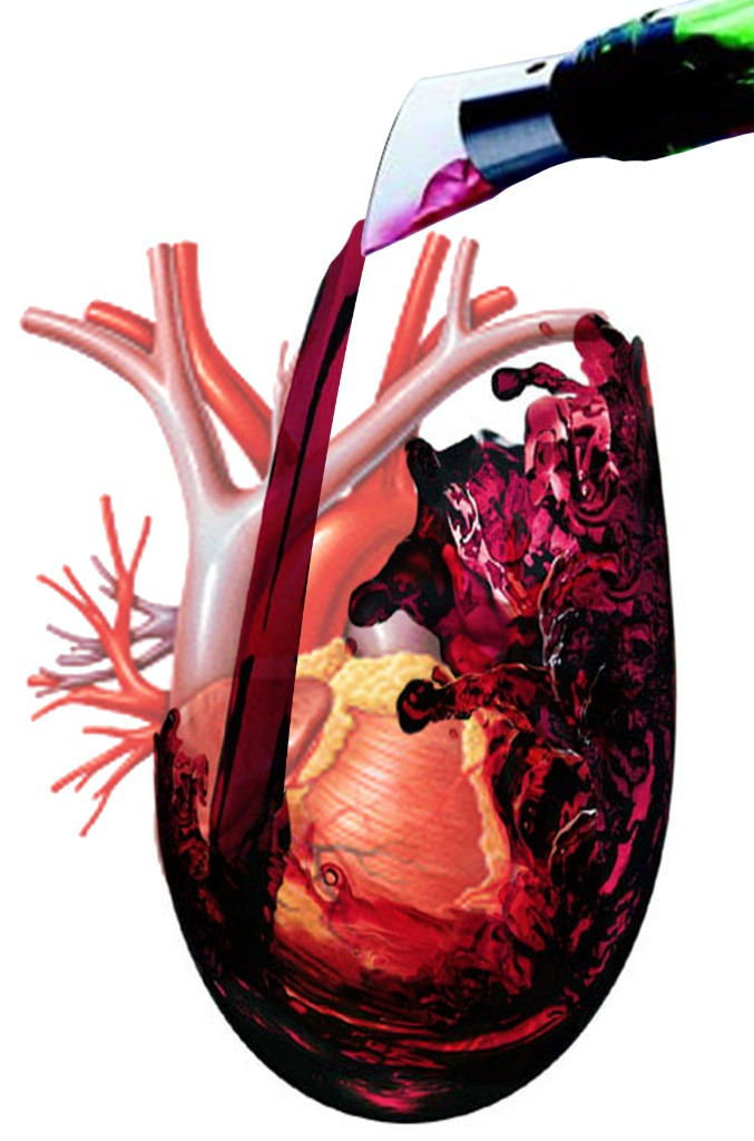 Vinotinto11 1