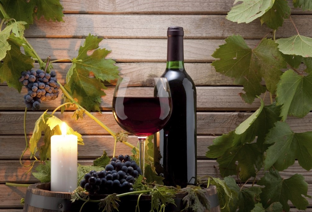 Vinotintoparalasalud 1